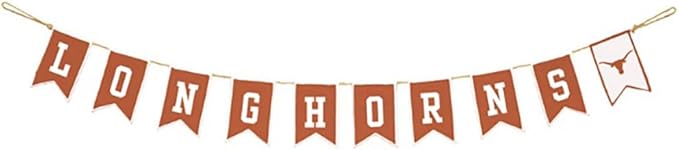 Longhorns Banner