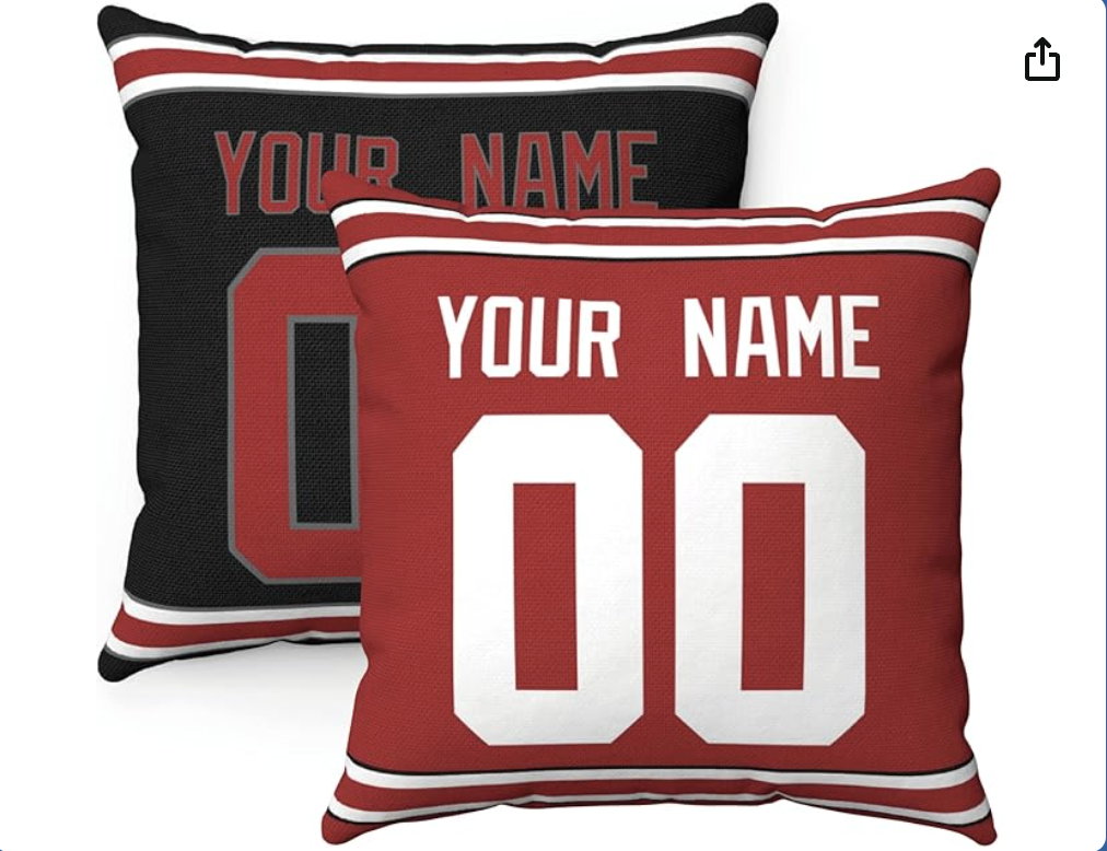 Ohio State Custom Pillows
